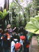 Rundgang Botanischer Garten Tropen1407